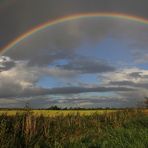 Under the Rainbows