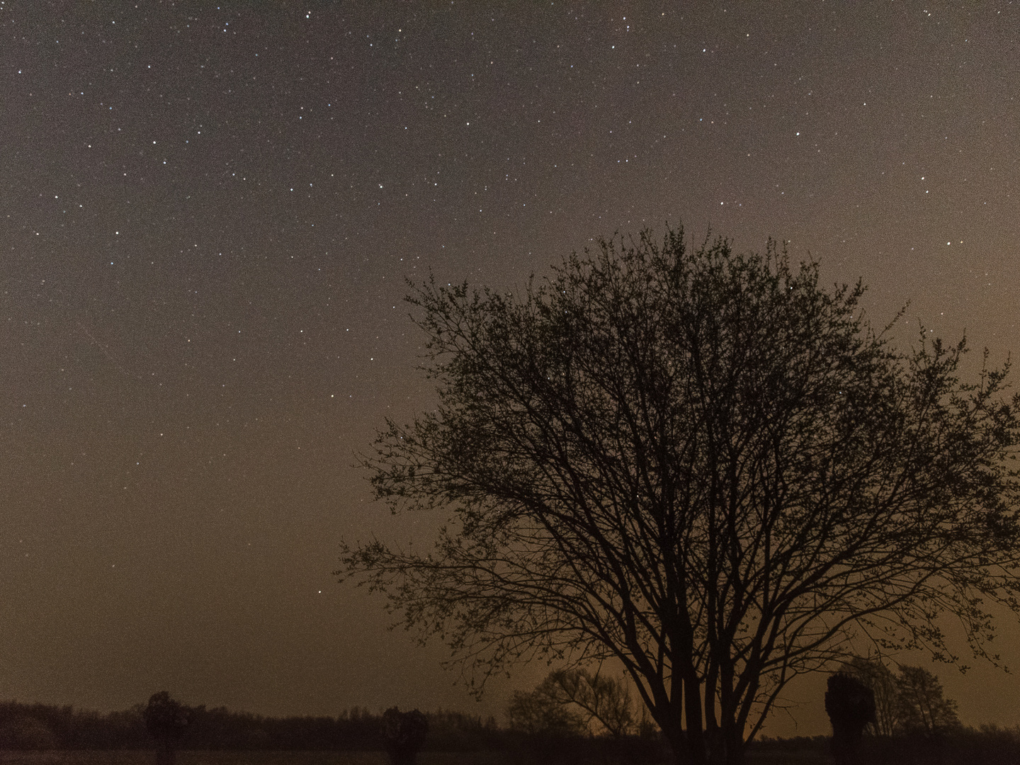 Under the stars