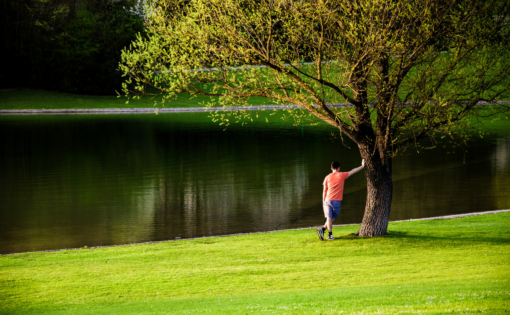 under the tree...