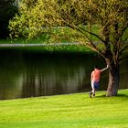 under the tree...