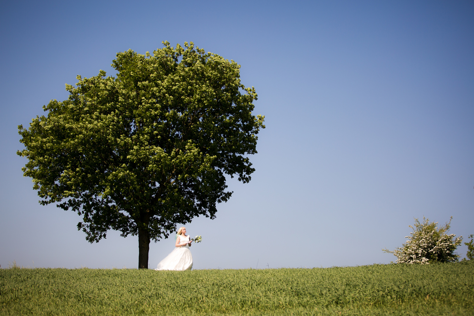 under the tree