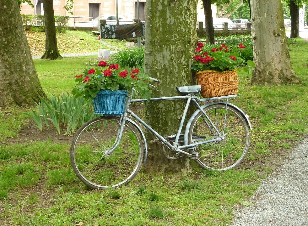 Under the tree...