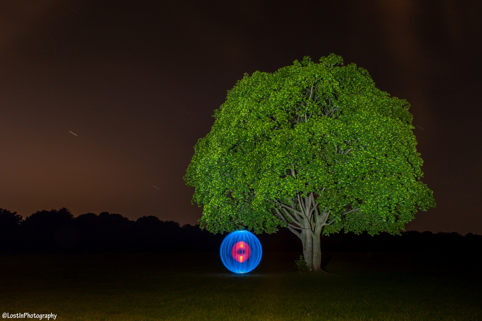 Under the Tree.