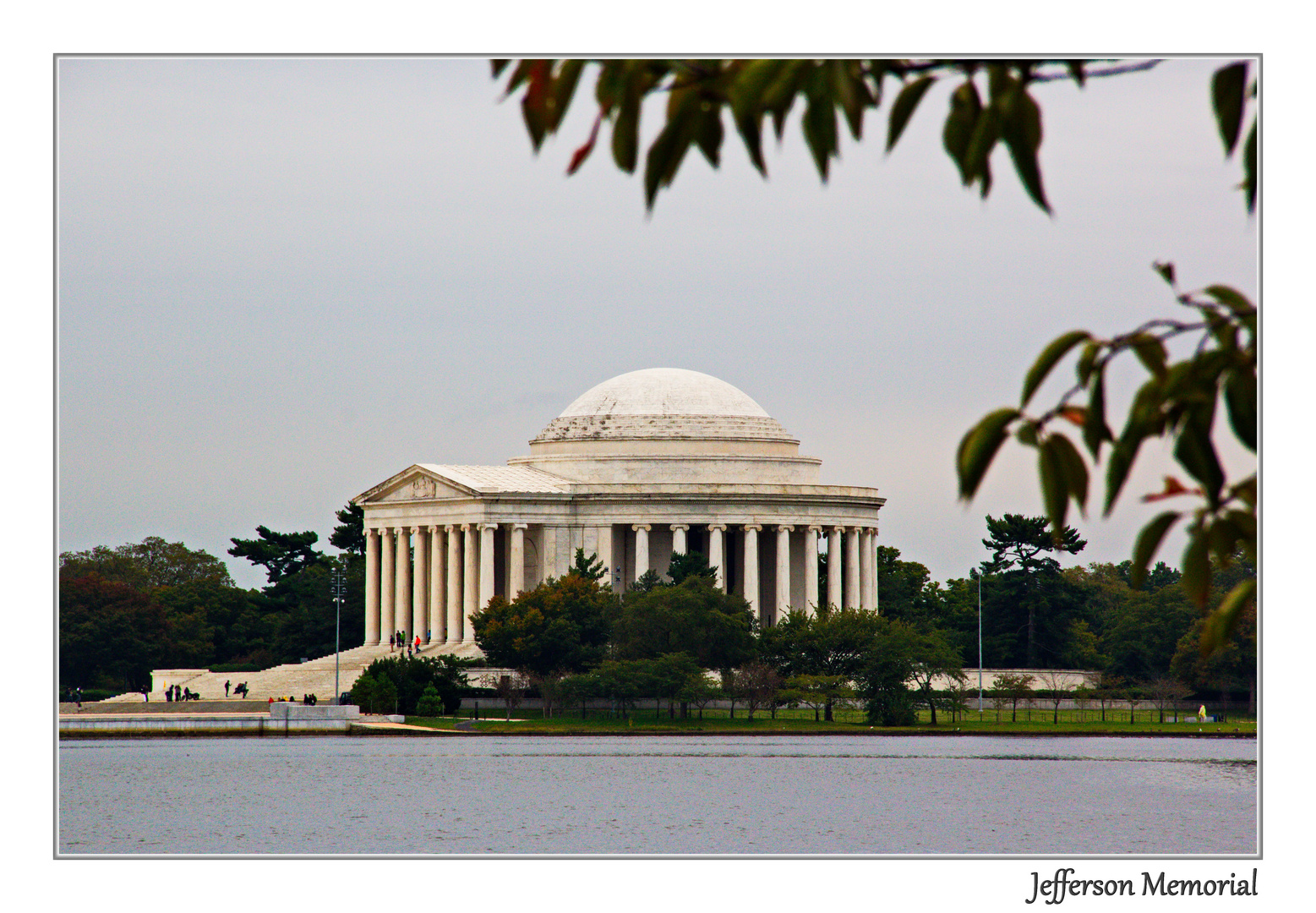 under the trees- Jefferson Memorial