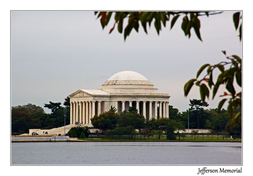 under the trees- Jefferson Memorial