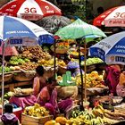 Under the Umbrellas