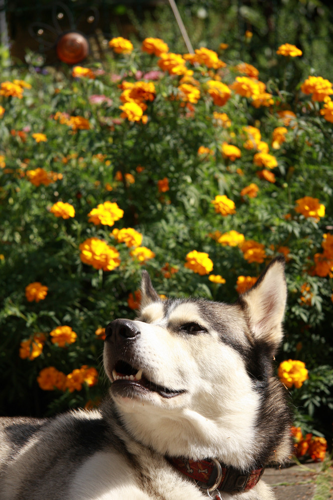 Under the warm autumn sun