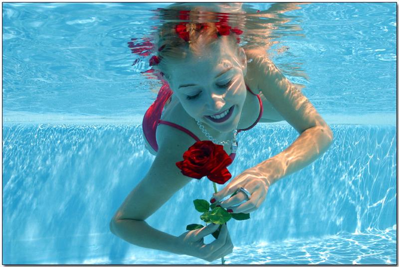 Under Water Rose