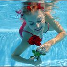 Under Water Rose