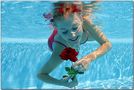 Under Water Rose von Ariane Drefke