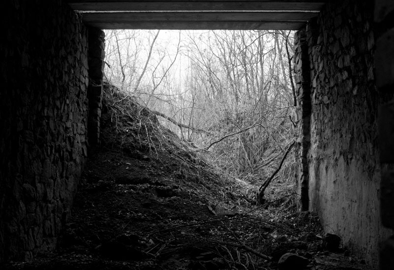 Underground sanctuary