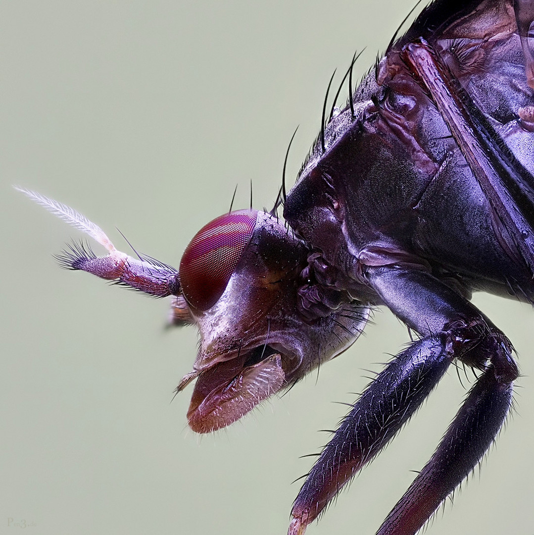 underside