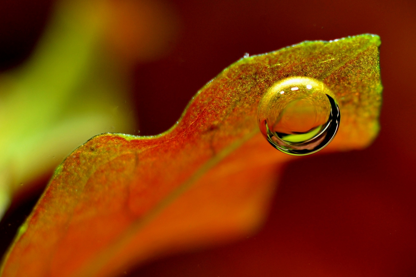 Underwater Air Bubble