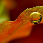 Underwater Air Bubble