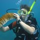 "Underwater-Baguette"