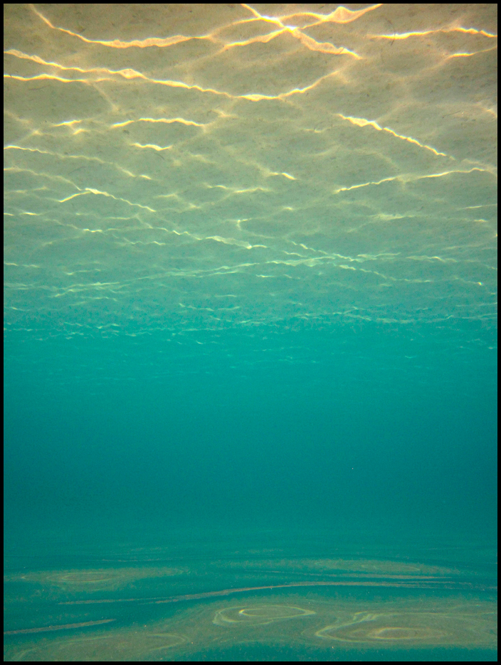 ~ Underwater dream... ~