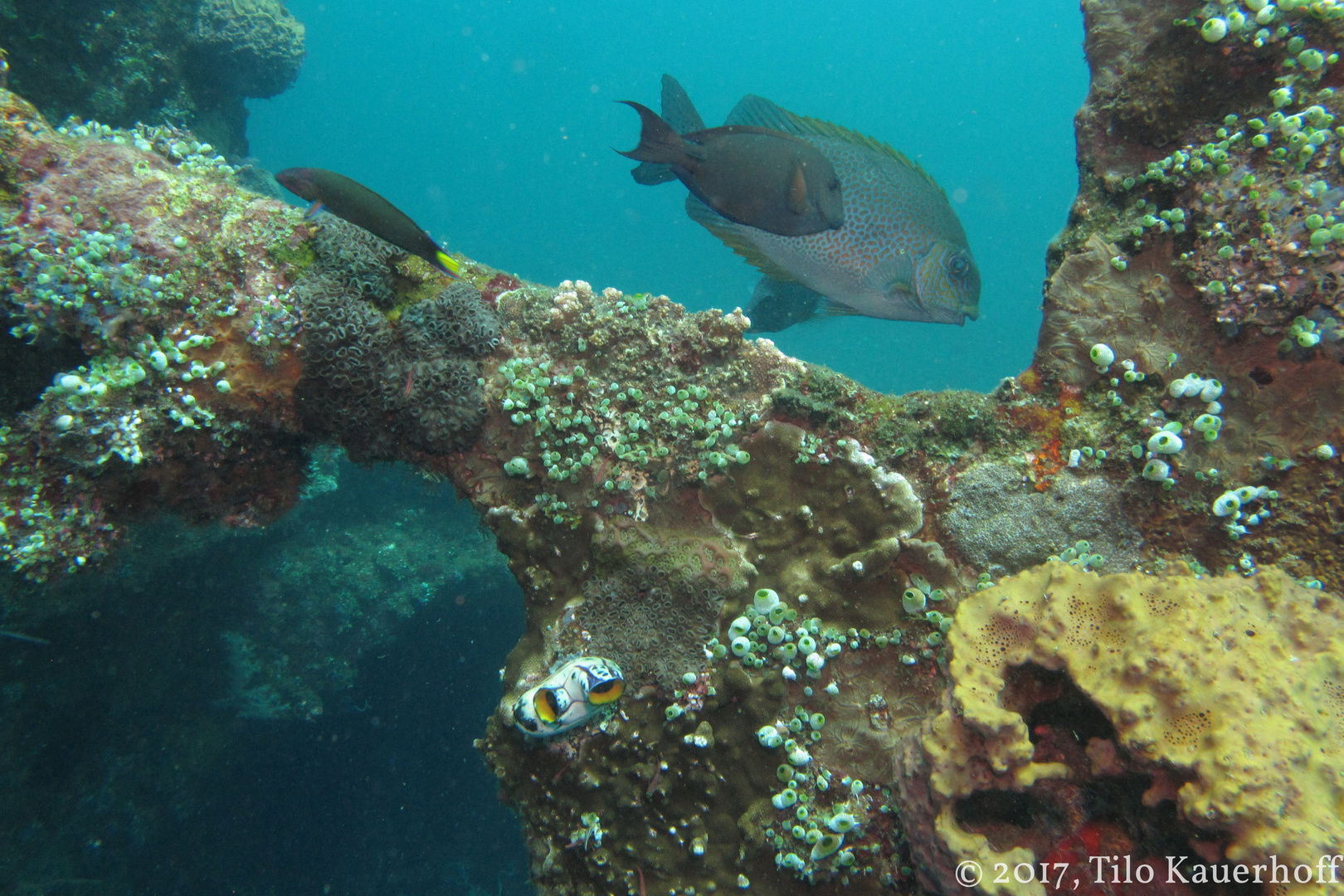 Underwater Frame