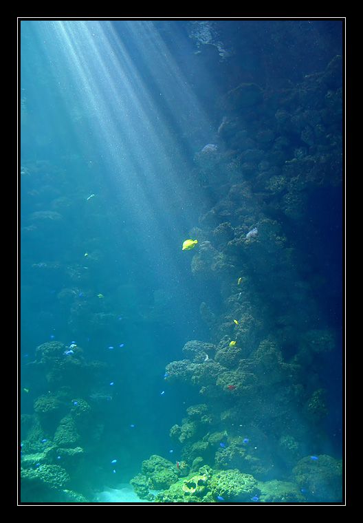 underwater love