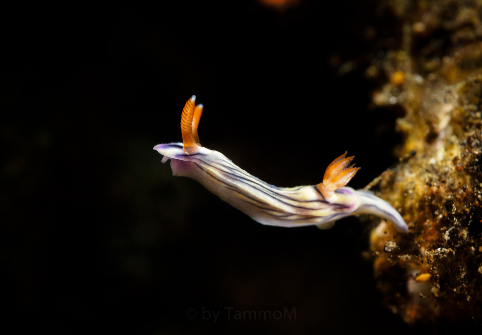 Underwater-Streching