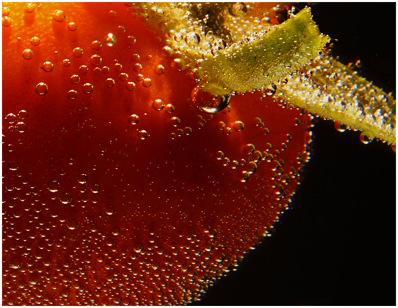 Underwater Tomato