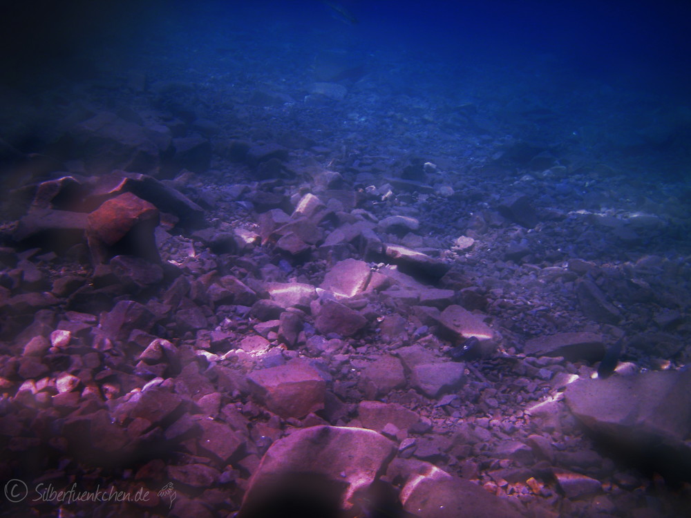 Underwater Treasures