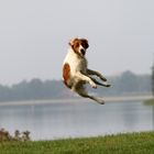 Und.......JUMP !!!!!