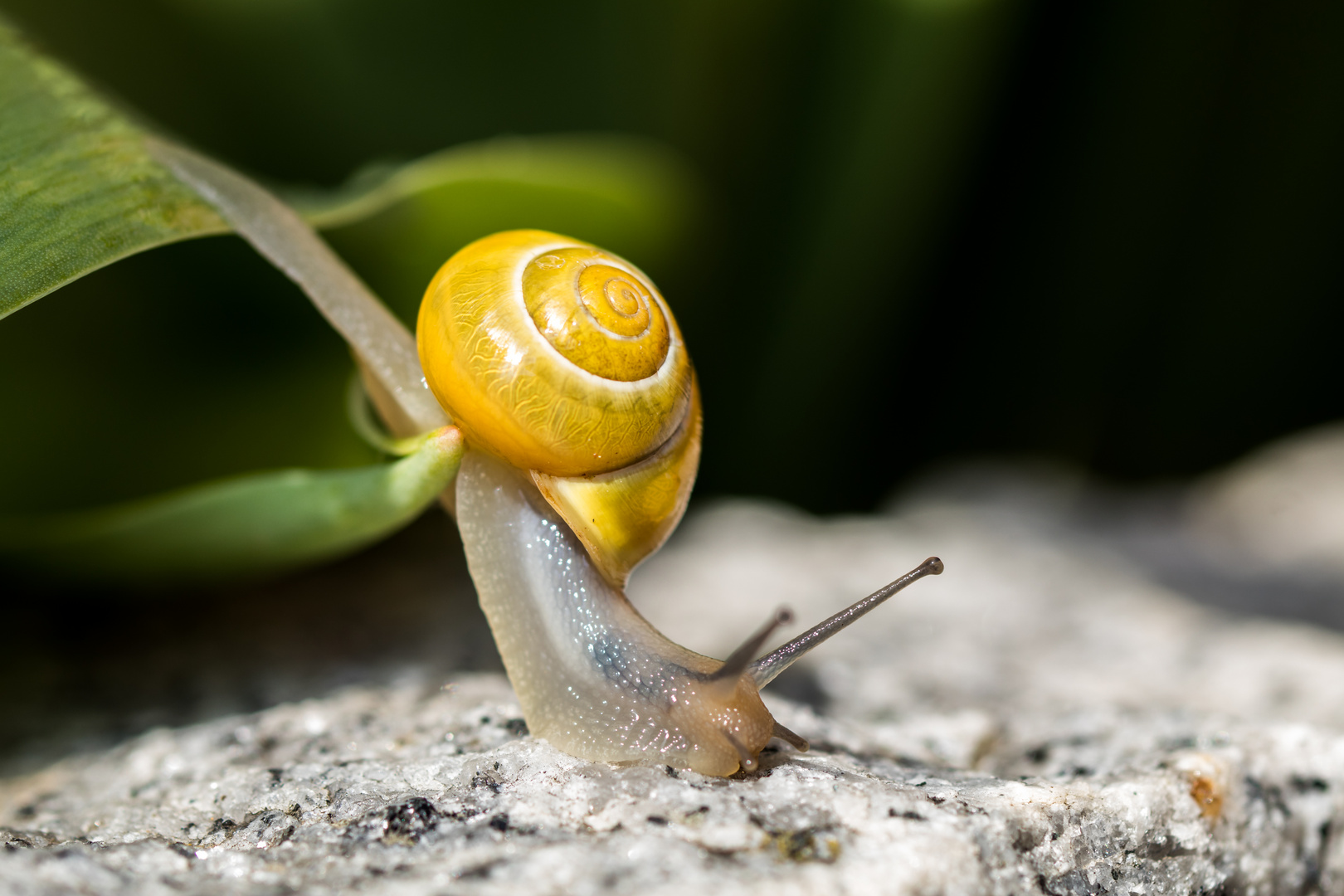 und_tschüss Foto & Bild makro, natur, tiere Bilder auf