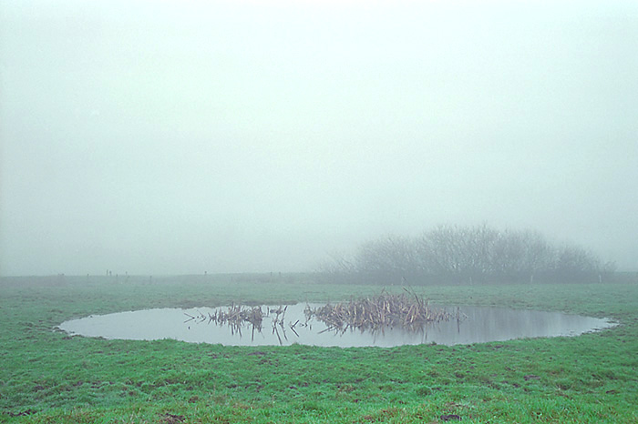 undurchdringlicheer Nebel