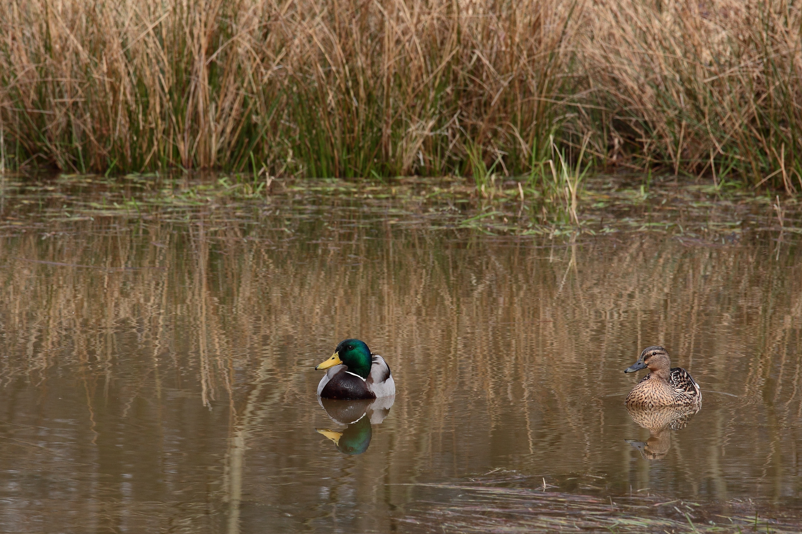 une agréable ballade sur l'eau