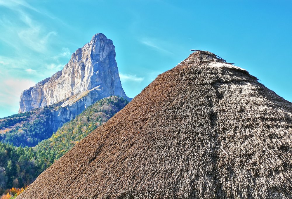 Une Aiguille dans une botte de chaume