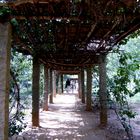 Une allée couverte , Auroville