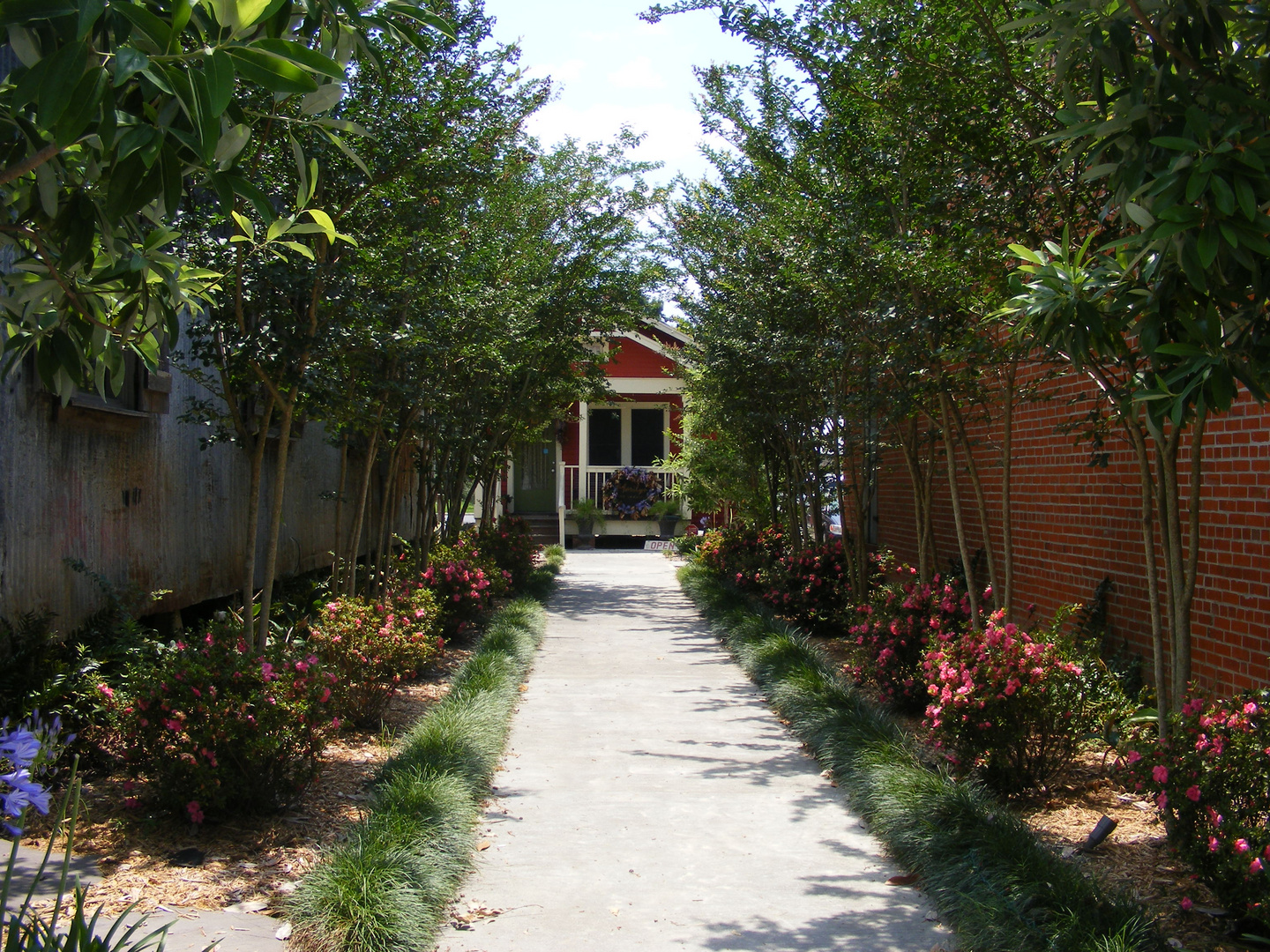 Une allee de Breaux Bridge