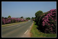 " Une aute partie de la route aux rhodos "