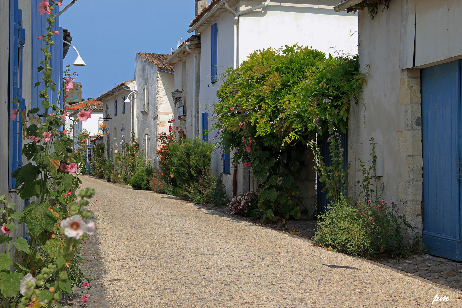 Une autre venelle de Talmont