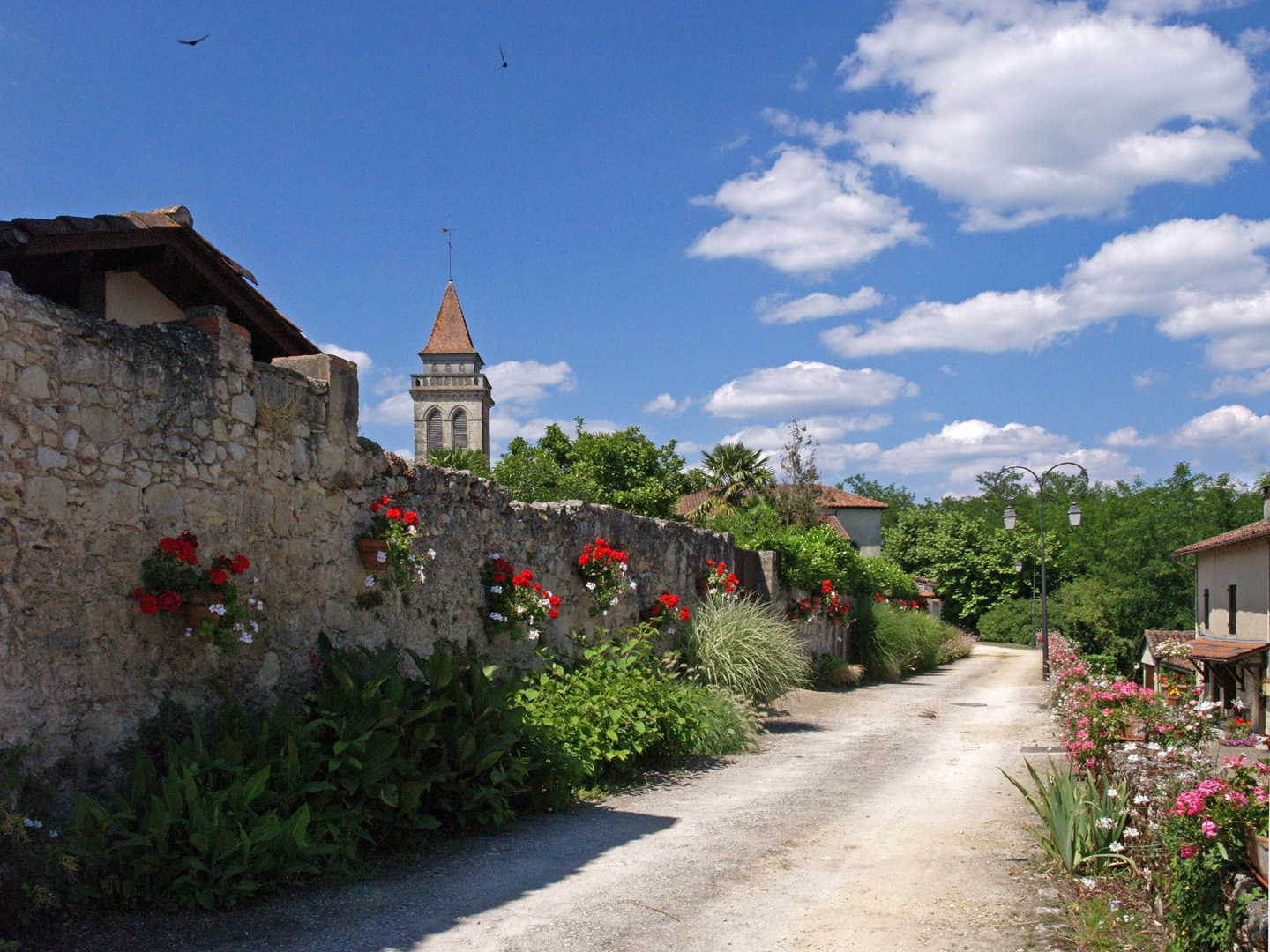 Une autre vue de Saint-Justin --  Landes  --  Eine andere Aussicht von Saint-Justin