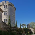 Une autre vue du Château de Flamarens (Gers)  -- Eine andere Aussicht des Schlosses von Flamarens