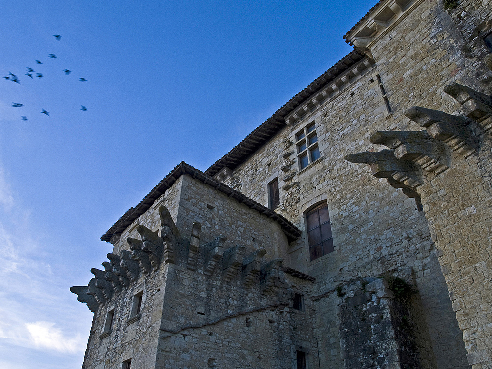 Une autre vue du Château de Lavardens -- Eine andere Sicht des Schlosses von Lavardens