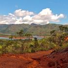 Une autre vue du Parc Régional de la Rivière Bleue  --  Sud de la Nouvelle-Calédonie