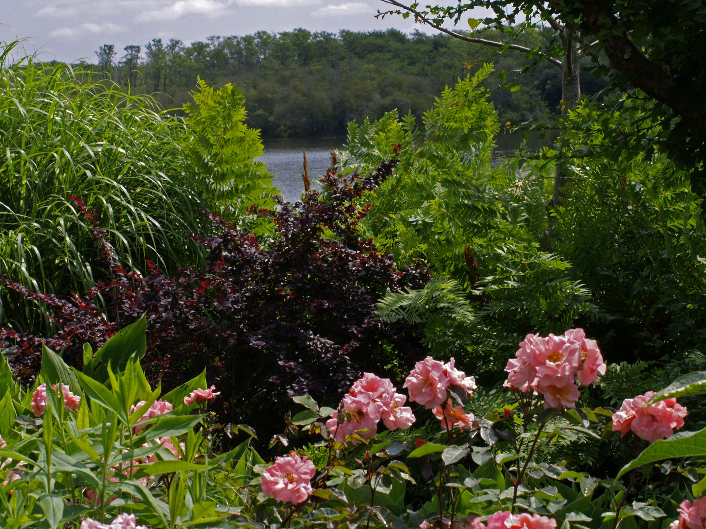 Une autre vue, Promenade fleurie, Mimizan -- Eine andere Sicht von der Blumenpromenade, Mimizan