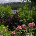 Une autre vue, Promenade fleurie, Mimizan -- Eine andere Sicht von der Blumenpromenade, Mimizan