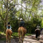 Une balade à cheval 