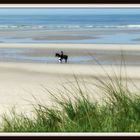 Une balade en bord de mer