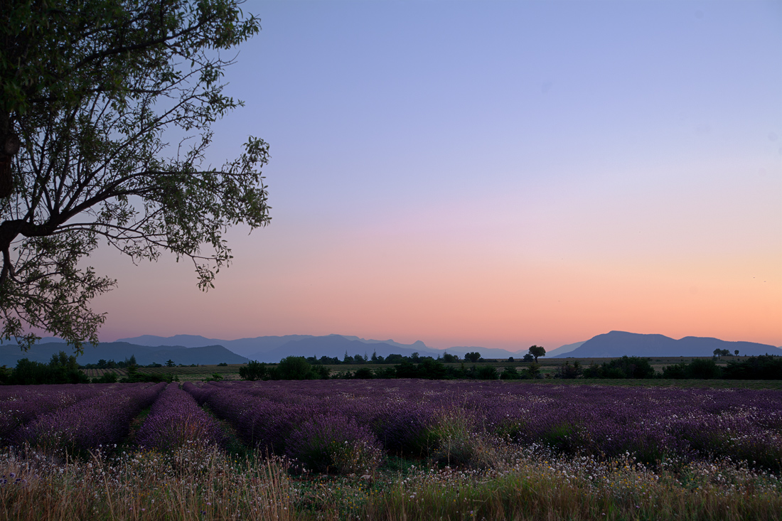 Une Balade en Provence