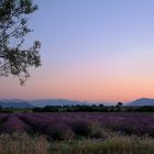 Une Balade en Provence