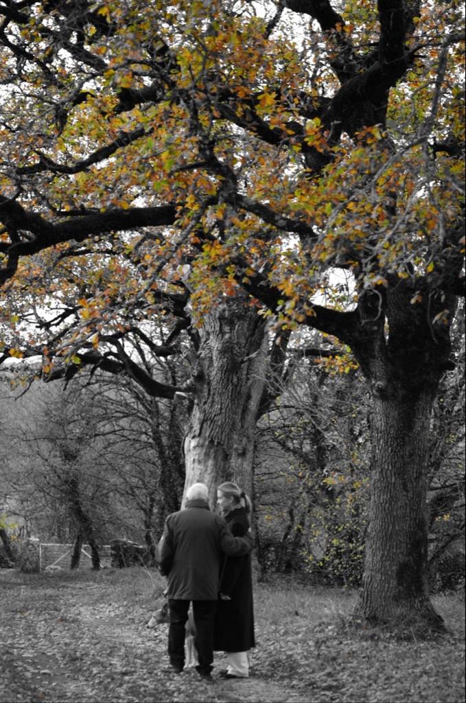 Une balade romantique d'automne