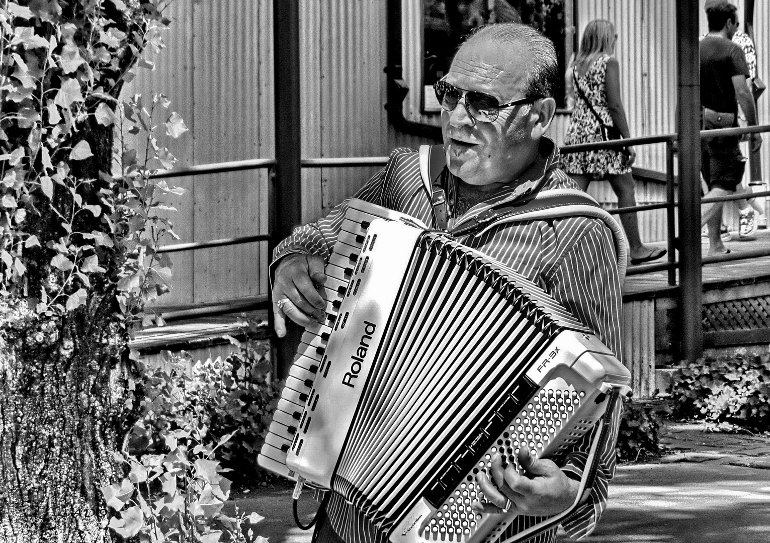 une ballade à l’ACcordéon