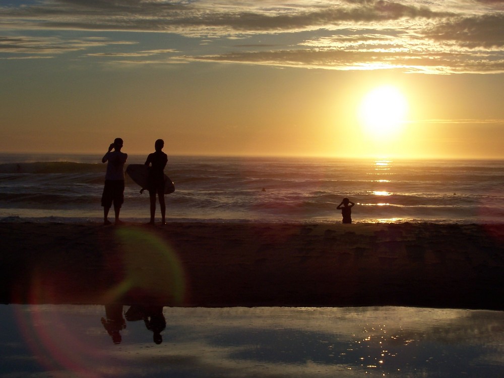 Une bande de copains surfeurs