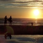 Une bande de copains surfeurs