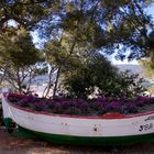 Une barque pleine de fleurs pour vous remercier .....