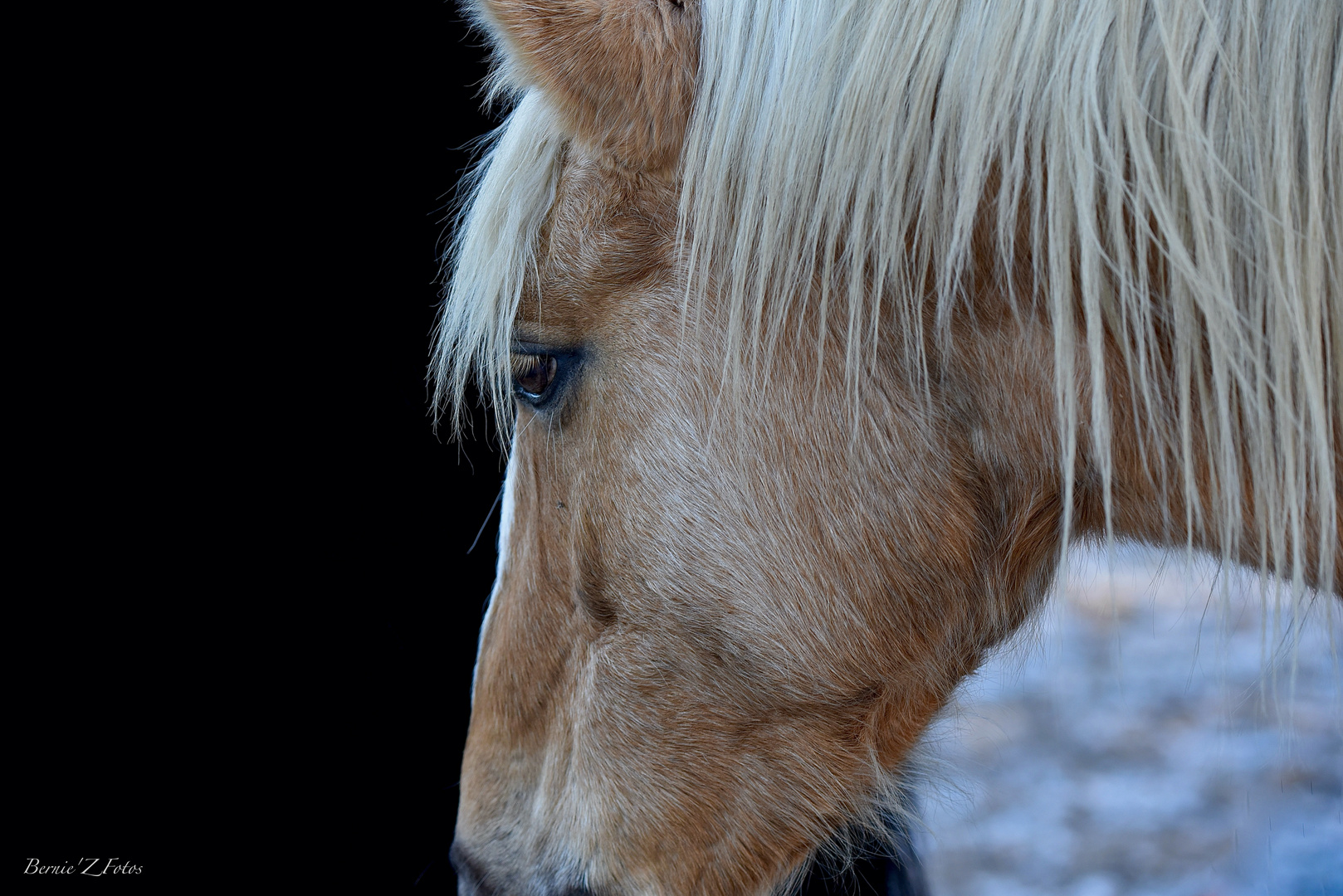 Une belle blonde